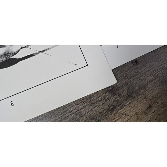 Fantastic Nudes 2nd Series Portfolio 10 Prints Stephen Fabian 1976 Pre Owned - Picture 7 of 10